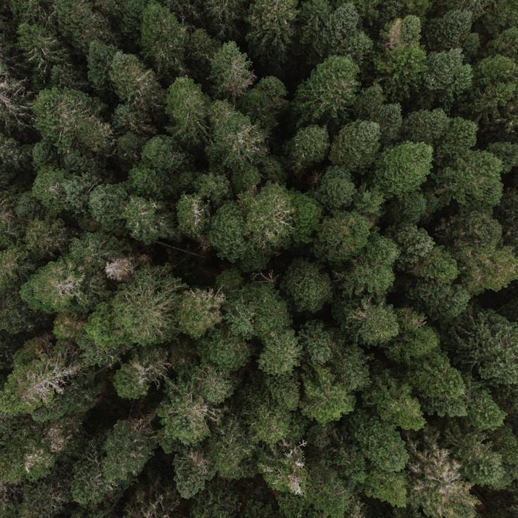 Nature travel hero image